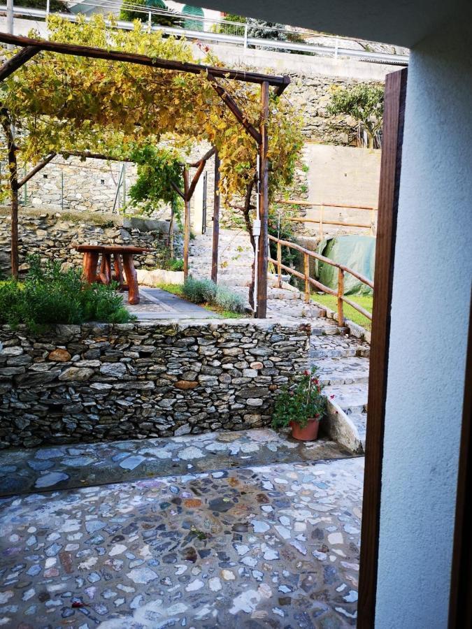 B&B Ca' Du Brigidin Tovo San Giacomo 外观 照片