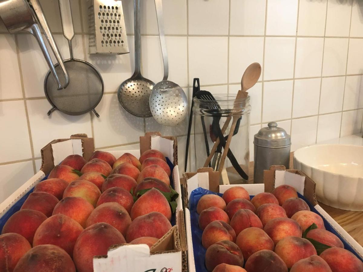 B&B Ca' Du Brigidin Tovo San Giacomo 外观 照片