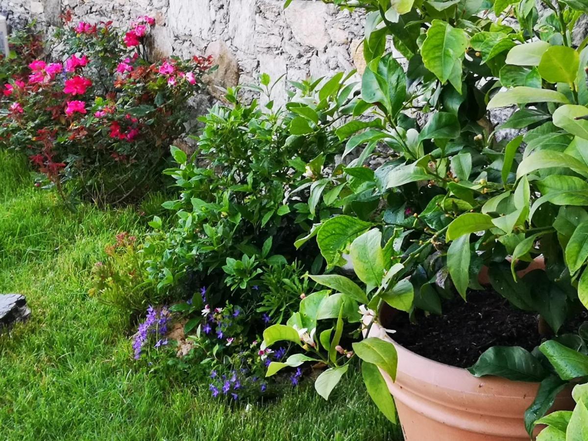 B&B Ca' Du Brigidin Tovo San Giacomo 外观 照片