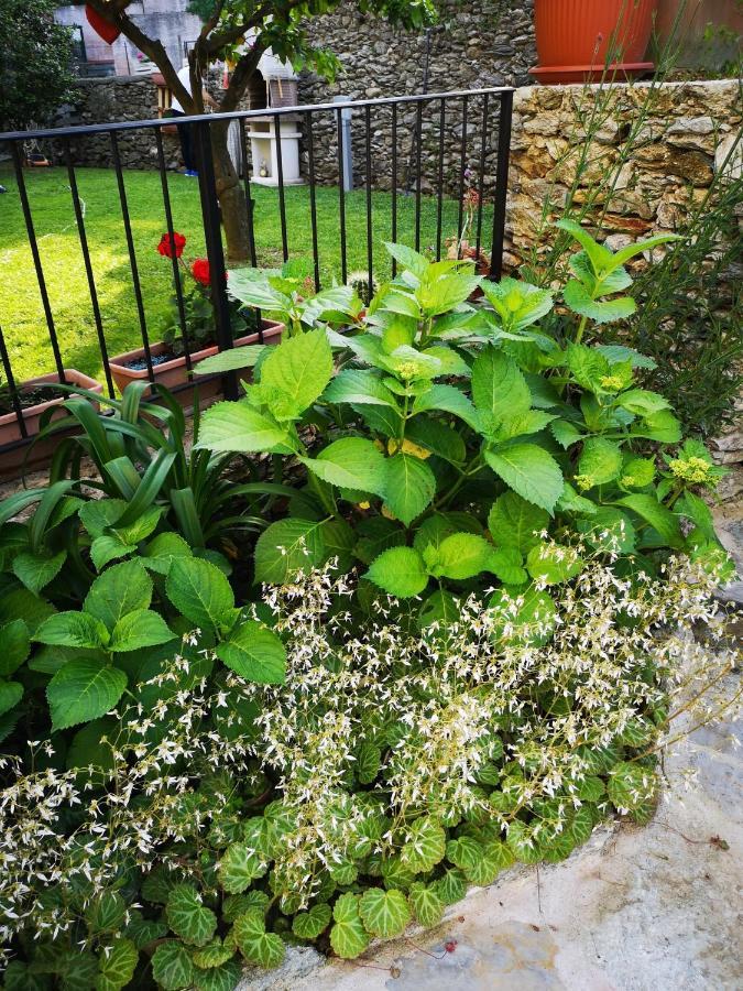 B&B Ca' Du Brigidin Tovo San Giacomo 外观 照片