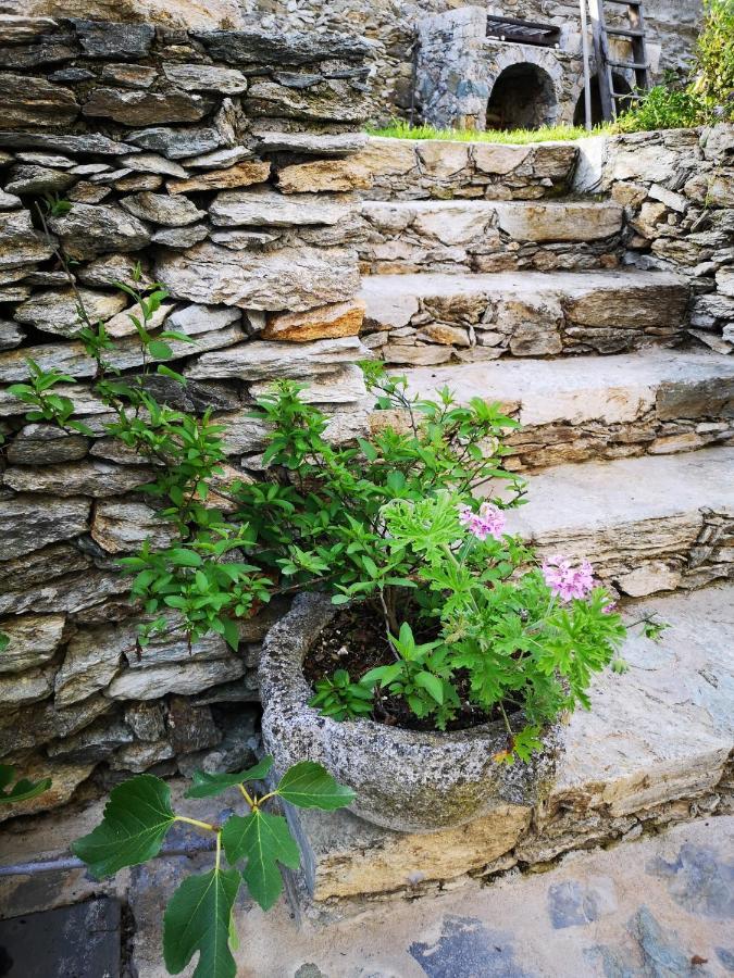 B&B Ca' Du Brigidin Tovo San Giacomo 外观 照片