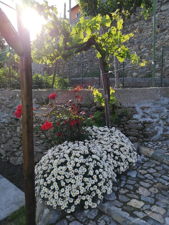 B&B Ca' Du Brigidin Tovo San Giacomo 外观 照片