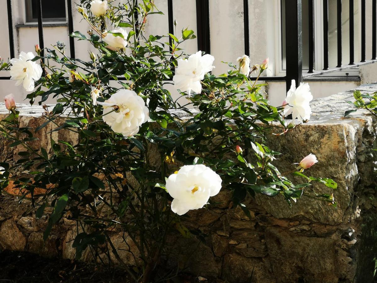 B&B Ca' Du Brigidin Tovo San Giacomo 外观 照片
