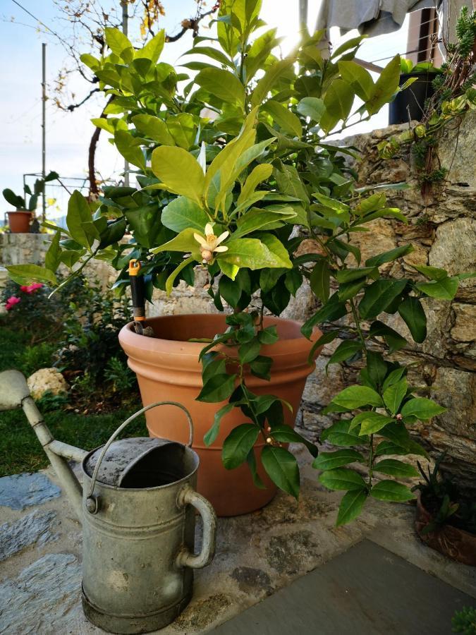 B&B Ca' Du Brigidin Tovo San Giacomo 外观 照片