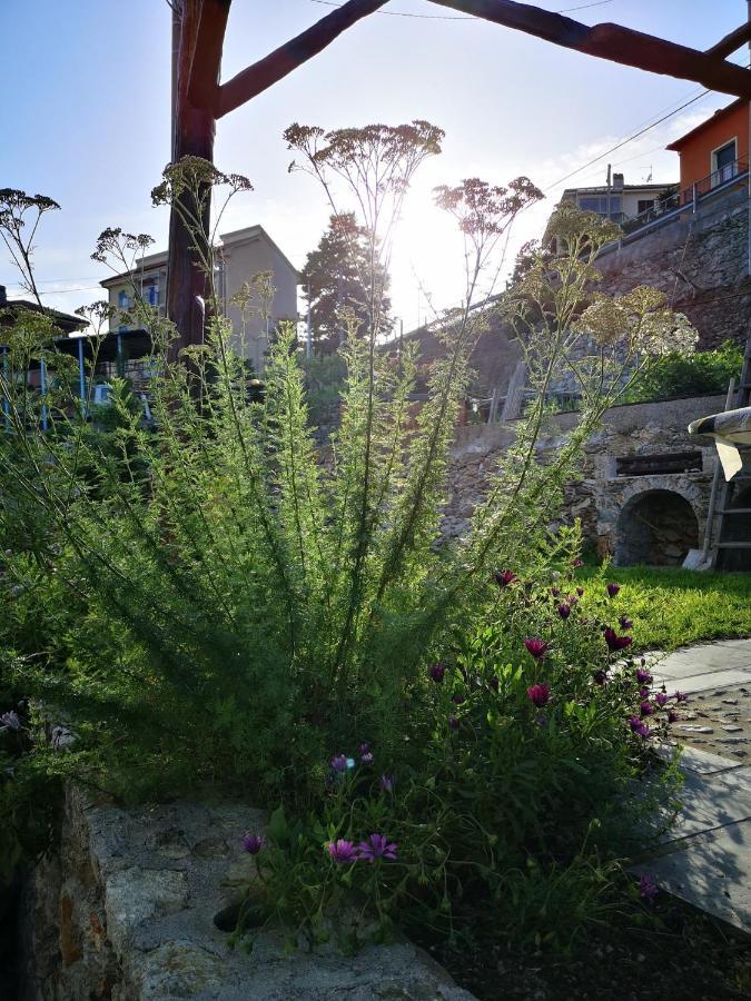 B&B Ca' Du Brigidin Tovo San Giacomo 外观 照片