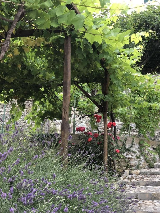 B&B Ca' Du Brigidin Tovo San Giacomo 外观 照片