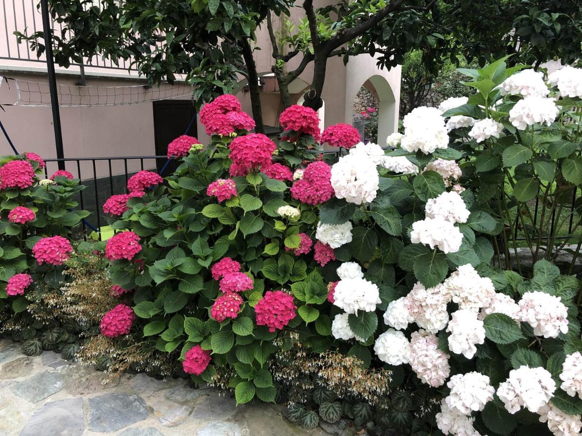 B&B Ca' Du Brigidin Tovo San Giacomo 外观 照片